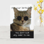 Funny Cat Wear Brillen Birthday Karte (Gelbe Blume)