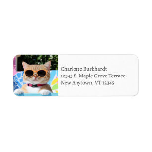 Funny Cat Wearing Sonnenbrille am Pool