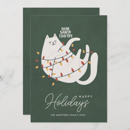 Funny Cat Weihnachten Lichter Frohe Feiertage (Vorne/Hinten)