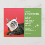 Funny Cat Weihnachten Stupid Foto-Karte Postkarte<br><div class="desc">Schenken Sie das Lächeln in dieser Urlaubssaison mit diesen unglaublich witzig Weihnachts-Foto-Postkarten! Wir alle wissen, dass wir zu Weihnachten Fotokarten verschicken sollten - es ist schließlich die kulturell akzeptierte Praxis. Nun, diese Karten sagen: "Hier ist deine blöde Fotokarte" und sie enthalten ein Foto einer Katze mit einer Brotmaske. Die Karte...</div>