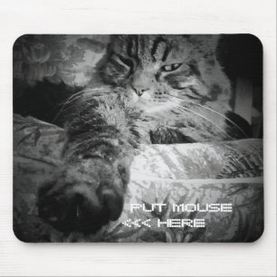 Funny Cat will Maus Mousepad