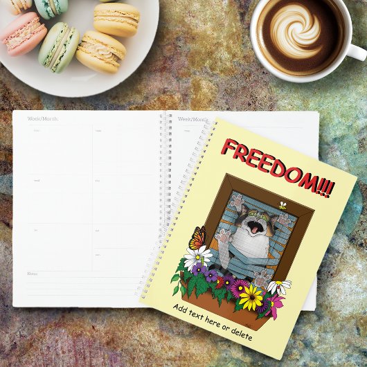 Funny Cat Window Yellow Freedom Planer