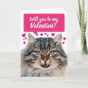 Funny Cat wirst du mein Valentin sein? Karte