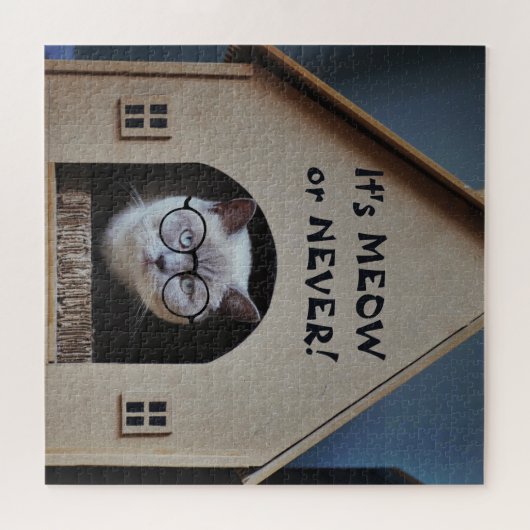 Funny Cat With Glasses It's Meow or Never Quote Puzzle (Horizontal)