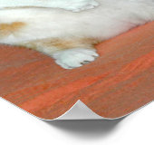 Funny Cat Wrestling Snake Poster (Ecke)