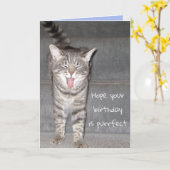 Funny Cat Yawning Geburtstag Karte (Gelbe Blume)