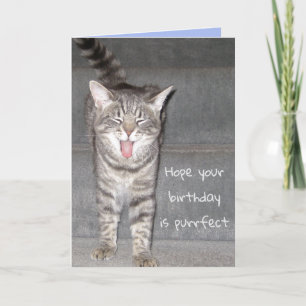 Funny Cat Yawning Geburtstag Karte