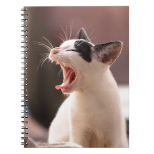 Funny Cat Yawning Notizblock