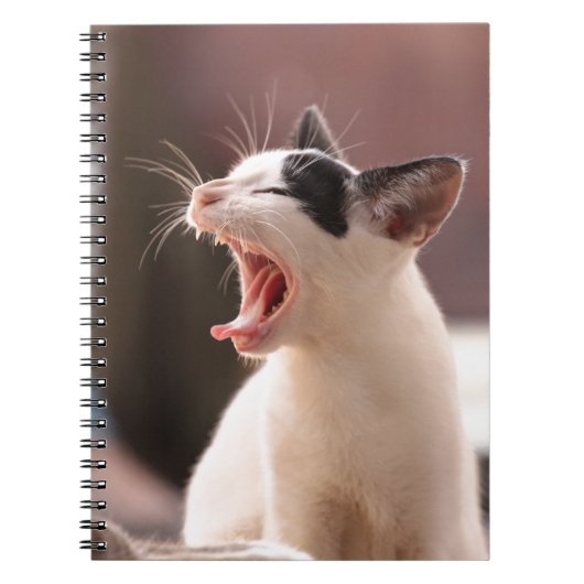 Funny Cat Yawning Notizblock (Vorderseite)