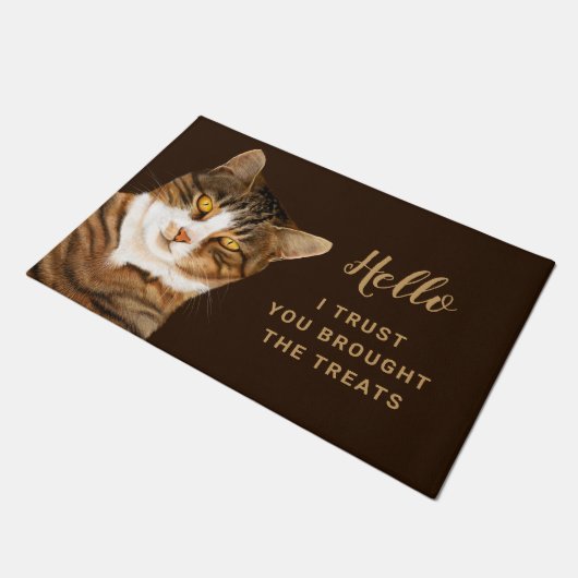 Funny Cat Zeichnend Brown Beige Fußmatte (Schrägansicht)