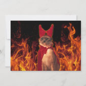 Funny Cat zu Halloween Devil Costume Einladung (Rückseite)