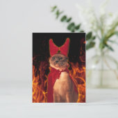 Funny Cat zu Halloween Devil Costume Postkarte (Stehend Vorderseite)