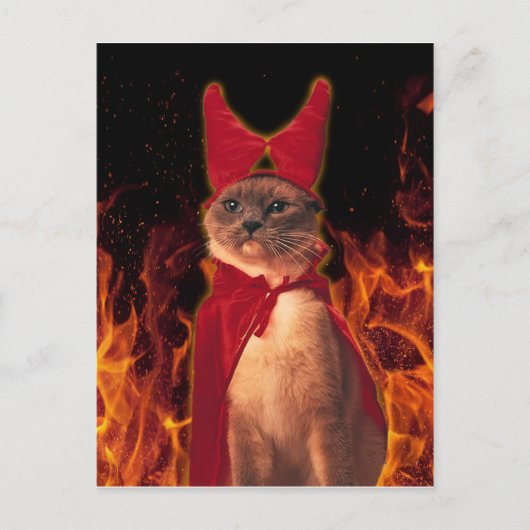 Funny Cat zu Halloween Devil Costume Postkarte (Vorderseite)