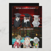 Funny Cats Anpassbare Graduierungsparty Einladung (Vorne/Hinten)