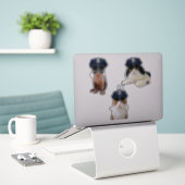 Funny Cats Aufkleber (Laptop auf Schreibtisch)