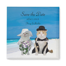 Funny Cats Beach Hochzeit Save the Date