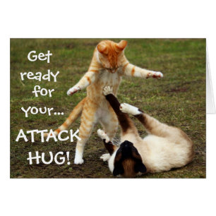 Funny Cats Capack Attack Hug
