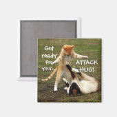 Funny Cats Capack Attack Hug Magnet (Vorderseite/Rückseite)