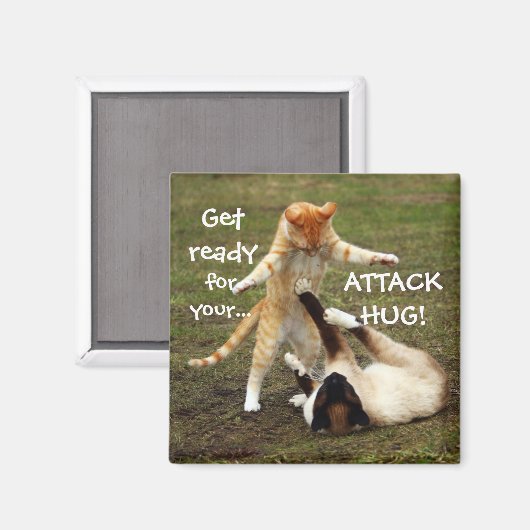 Funny Cats Capack Attack Hug Magnet (Vorderseite/Rückseite)