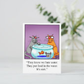 Funny Cats Cartoon Geschenk! Postkarte (Stehend Vorderseite)
