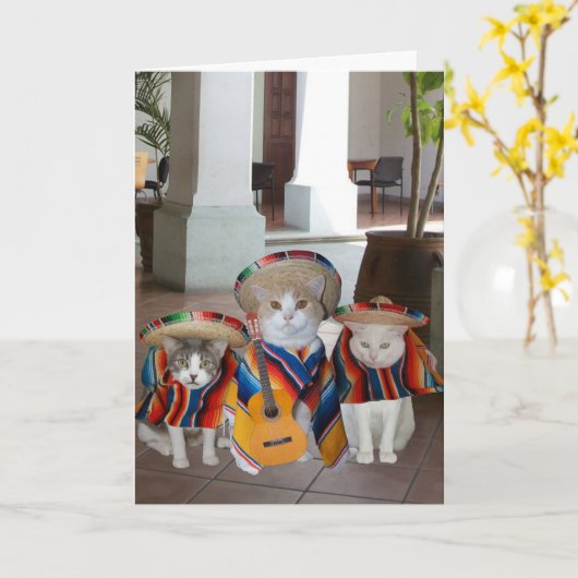 Funny Cats Cinco de Mayo Karte (Gelbe Blume)