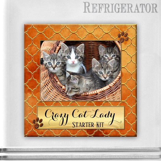 Funny Cats Crazy Cat Lady Foto Magnet