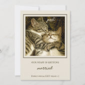 Funny Cats Custom Foto Engagement Party Einladung (Vorderseite)