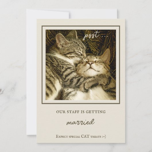 Funny Cats Custom Foto Engagement Party Einladung (Vorderseite)