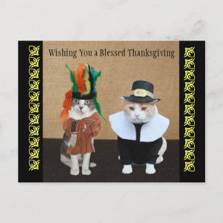 Funny Cats Erntedank Feiertagspostkarte