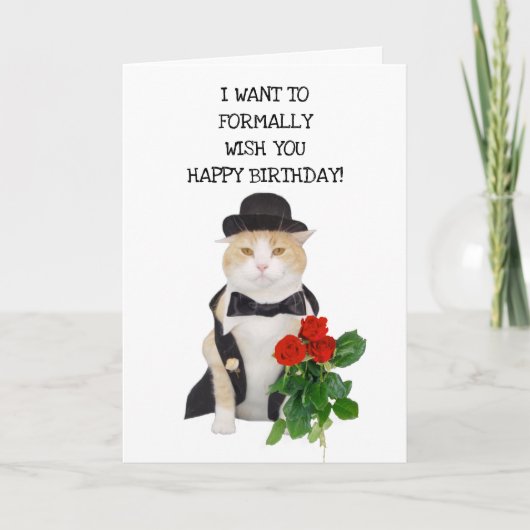 Funny Cats Formal Birthday wünscht Karte (Vorderseite)