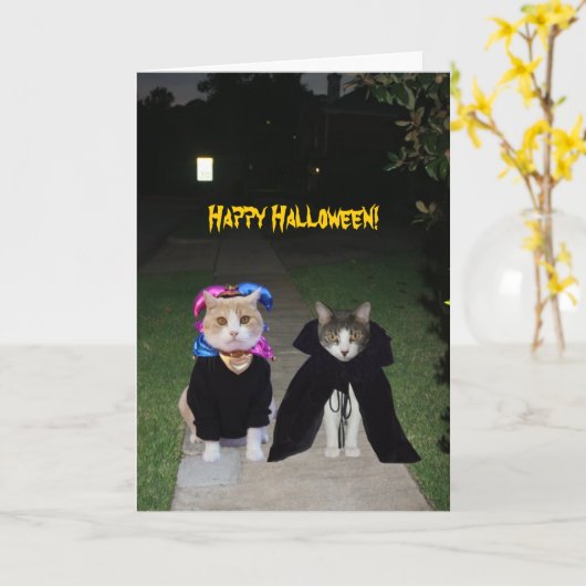 Funny Cats Halloween Karte (Gelbe Blume)