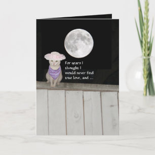 Funny Cats Jubiläum des Ehemanns Karte