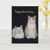 Funny Cats Jubiläum Karte (Gelbe Blume)