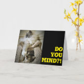 Funny Cats, Karte (Gelbe Blume)