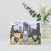 Funny Cats / Kätzchen Grüße aus Houston Postkarte (Stehend Vorderseite)