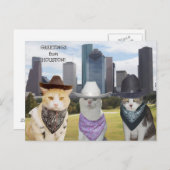 Funny Cats / Kätzchen Grüße aus Houston Postkarte (Vorne/Hinten)