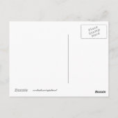 Funny Cats / Kätzchen Grüße aus Houston Postkarte (Rückseite)