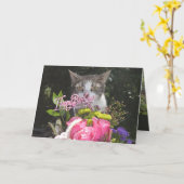Funny Cats/Kätzchen Happy Birthday Estranple Karte (Gelbe Blume)