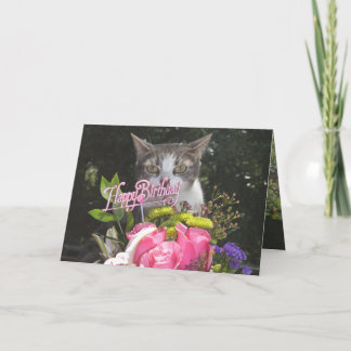Funny Cats/Kätzchen Happy Birthday Estranple Karte