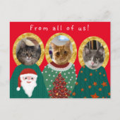 Funny Cats Maßgeschneidert Ugly Weihnachtskraut Postkarte (Vorderseite)