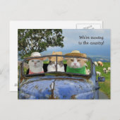 Funny Cats Moving Postcard Ankündigungspostkarte (Vorne/Hinten)