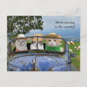 Funny Cats Moving Postcard Ankündigungspostkarte (Vorderseite)