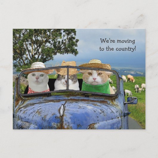 Funny Cats Moving Postcard Ankündigungspostkarte (Vorderseite)