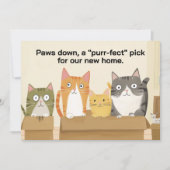 Funny Cats Neue Zuhause Moving Ankündigung (Vorderseite)