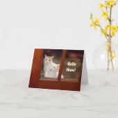 Funny Cats Notecard Karte (Gelbe Blume)