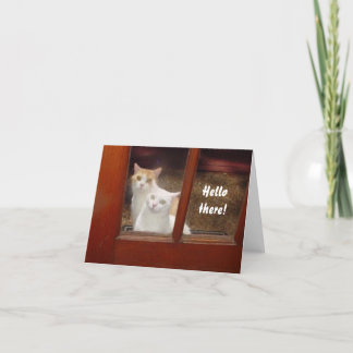 Funny Cats Notecard Karte