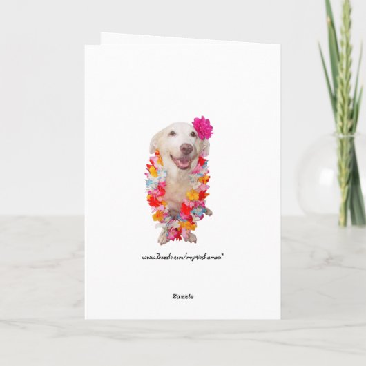 Funny Cats on Beach Karte (Rückseite)