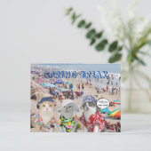 Funny Cats on Spring Break Postkarte (Stehend Vorderseite)