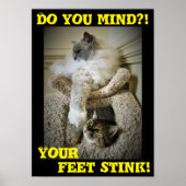 Funny Cats, Poster (Vorne)