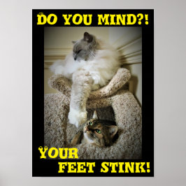 Funny Cats, Poster